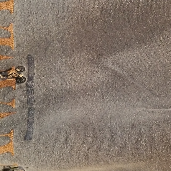 🔮 One of A Kind - Princess Cruises Collection Sweatshirt (medium) Panamal Canal - Picture 5 of 10